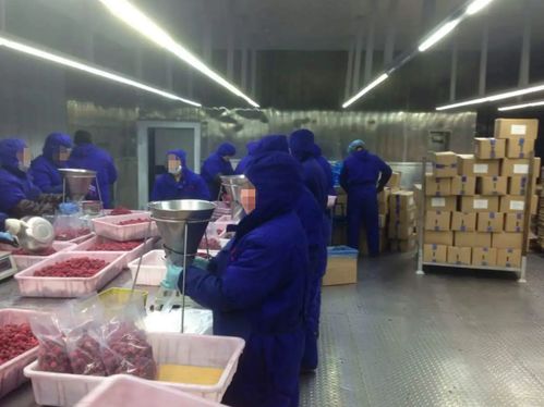 情義與拼搏 百元相助鋪就的創(chuàng)業(yè)之路